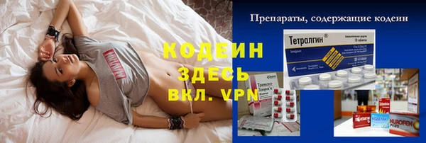 ГАЛЛЮЦИНОГЕННЫЕ ГРИБЫ Михайлов