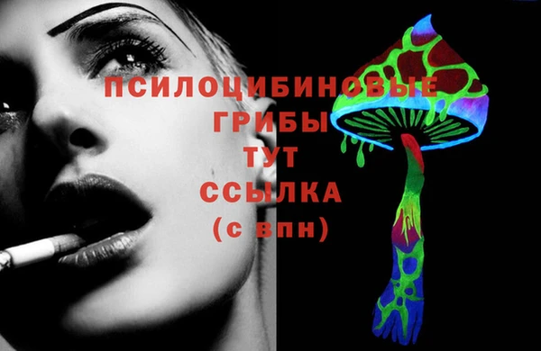 ГАЛЛЮЦИНОГЕННЫЕ ГРИБЫ Михайлов