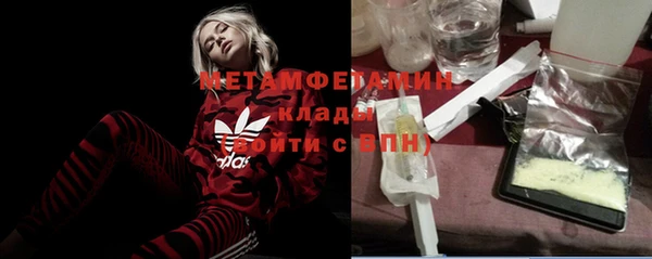 ГАЛЛЮЦИНОГЕННЫЕ ГРИБЫ Михайлов