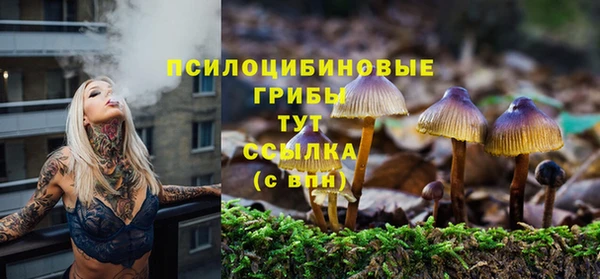 ГАЛЛЮЦИНОГЕННЫЕ ГРИБЫ Михайлов