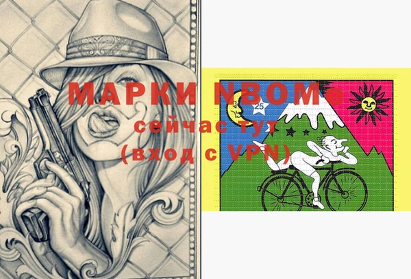 ГАЛЛЮЦИНОГЕННЫЕ ГРИБЫ Михайлов