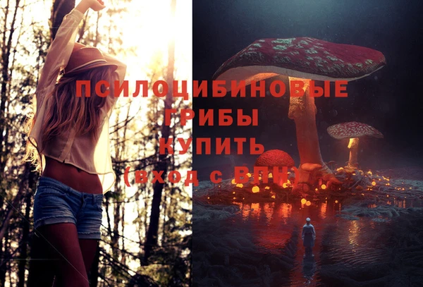 ГАЛЛЮЦИНОГЕННЫЕ ГРИБЫ Михайлов