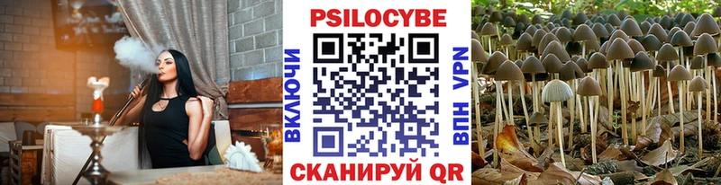 Галлюциногенные грибы прущие грибы  Ильский 